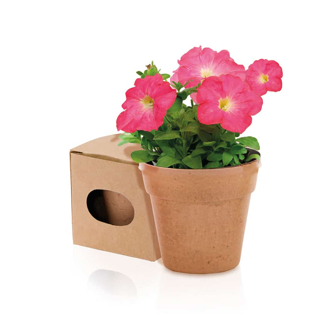 Visuel Pot de Fleurs Bumaqifi - personnalisable