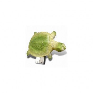 Visuel Cle USB Tortue