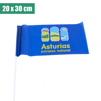 Visuel Drapeau 20x30cm