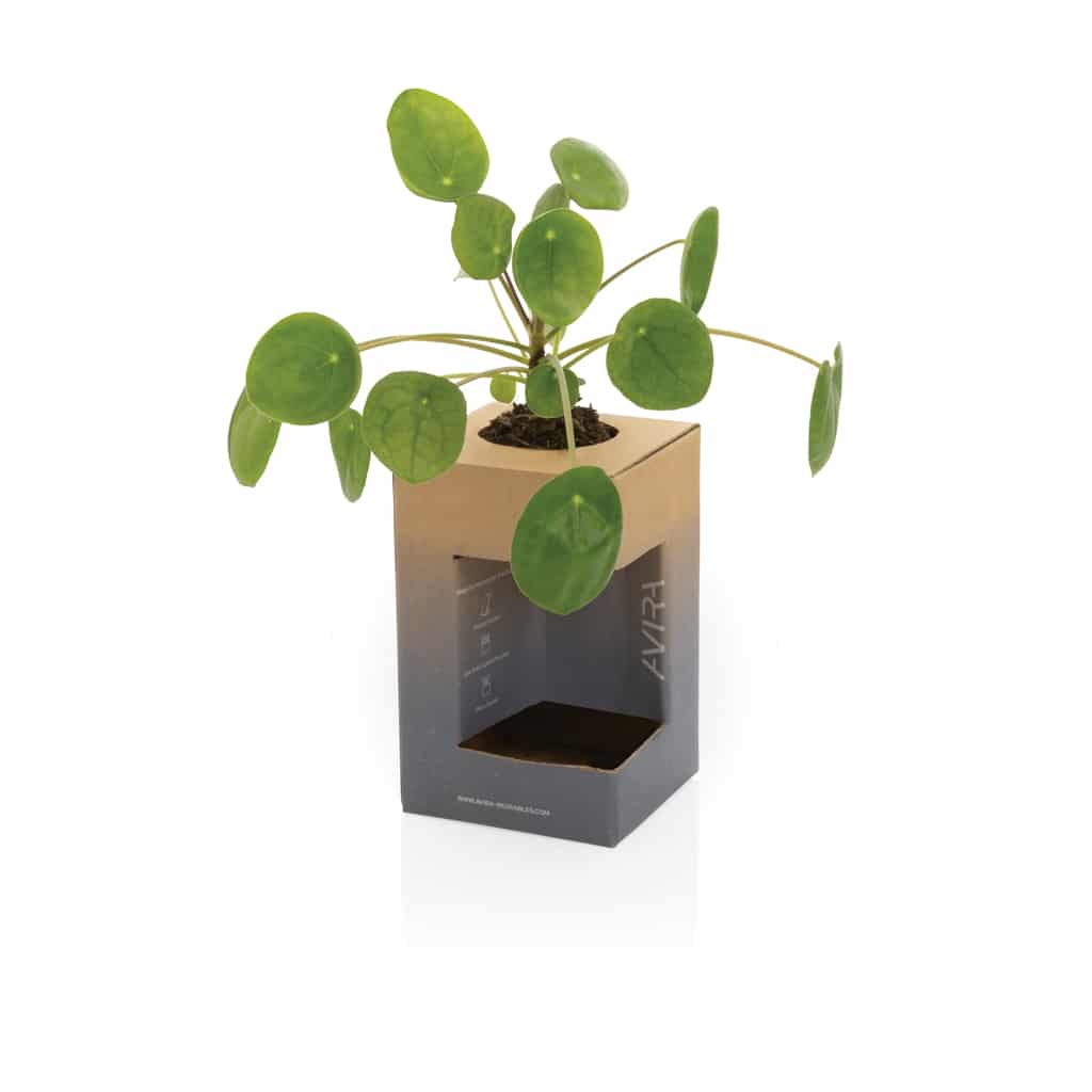 Miniature 19 pour Mug 300ml en acier recyclé RCS Avira Alya