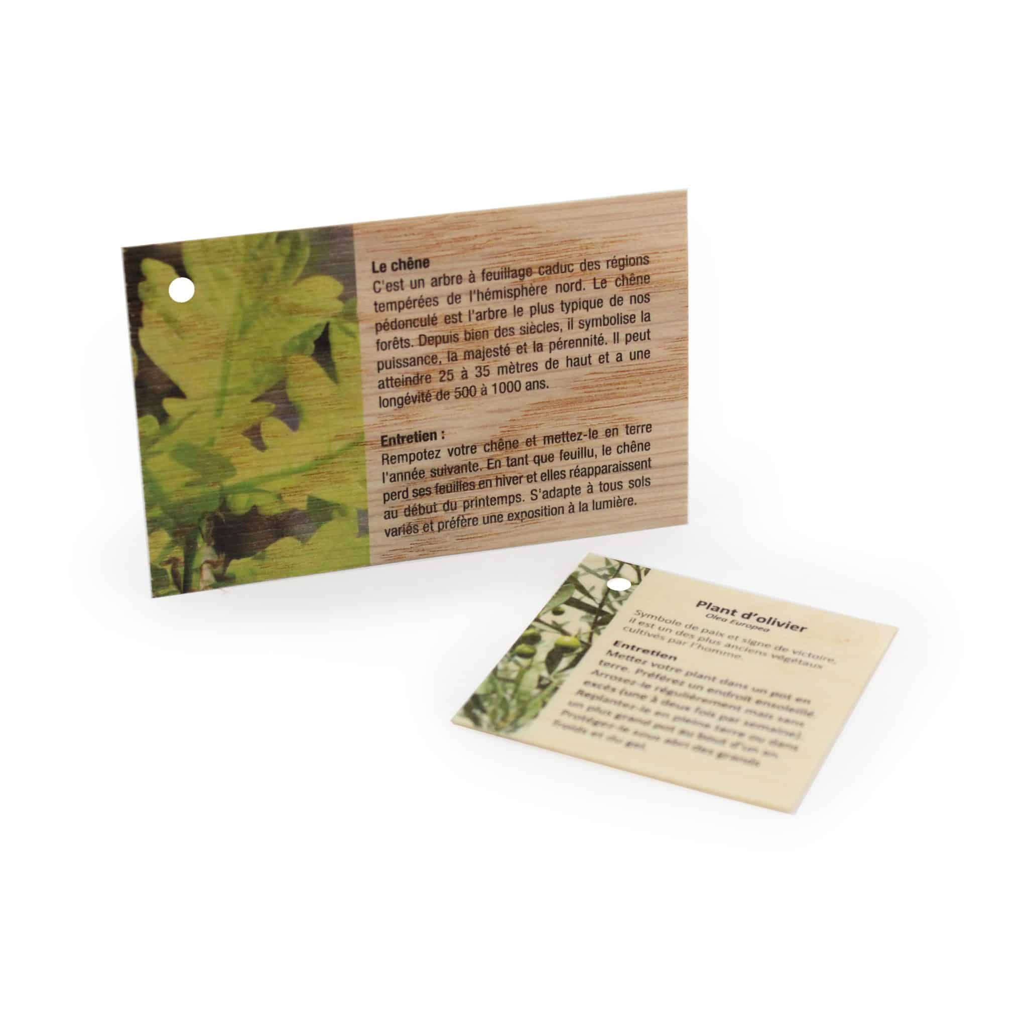 Visuel Carte Bois 85x54 mm