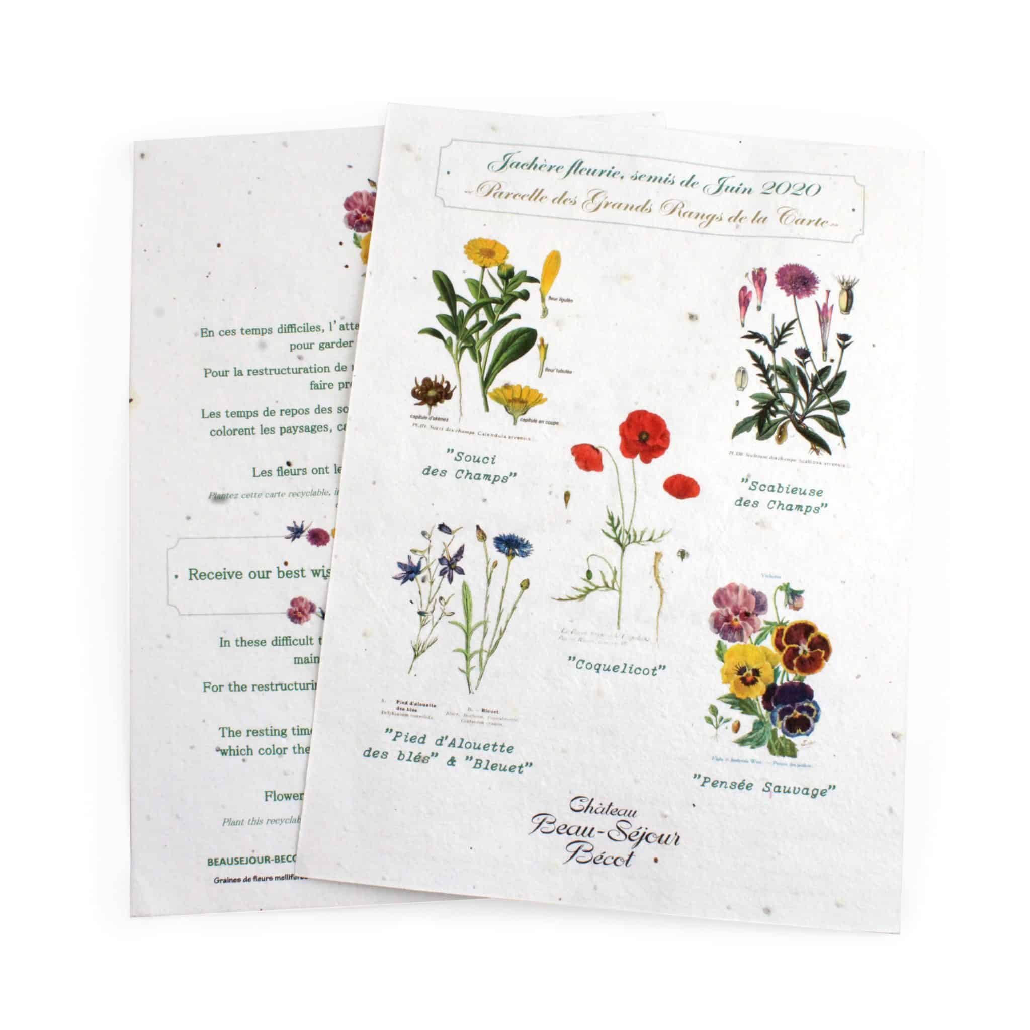 Visuel Tapis de semis 21 x29 cm