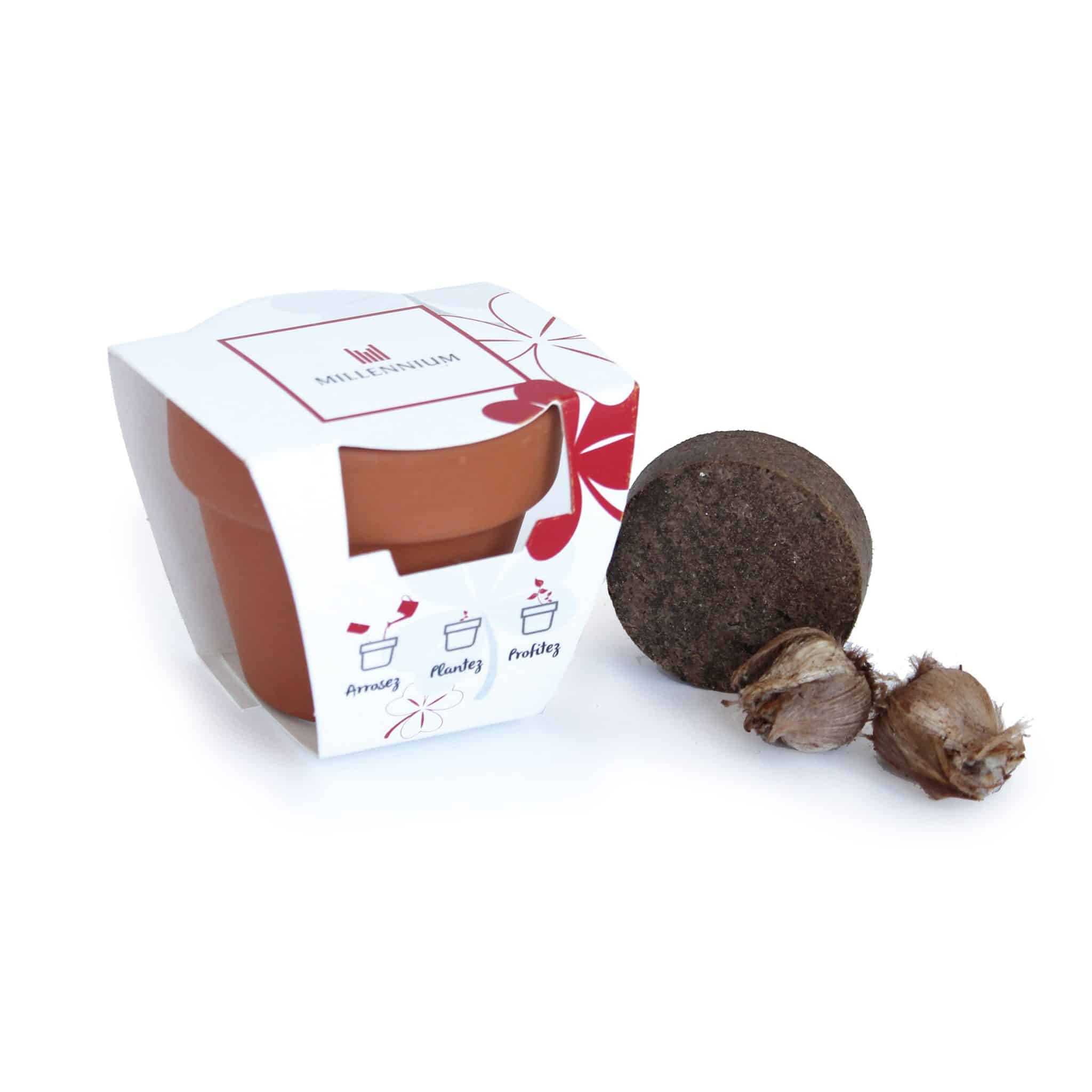 Visuel Kit de plantation terre cuite - Petit modèle pot 6 cm