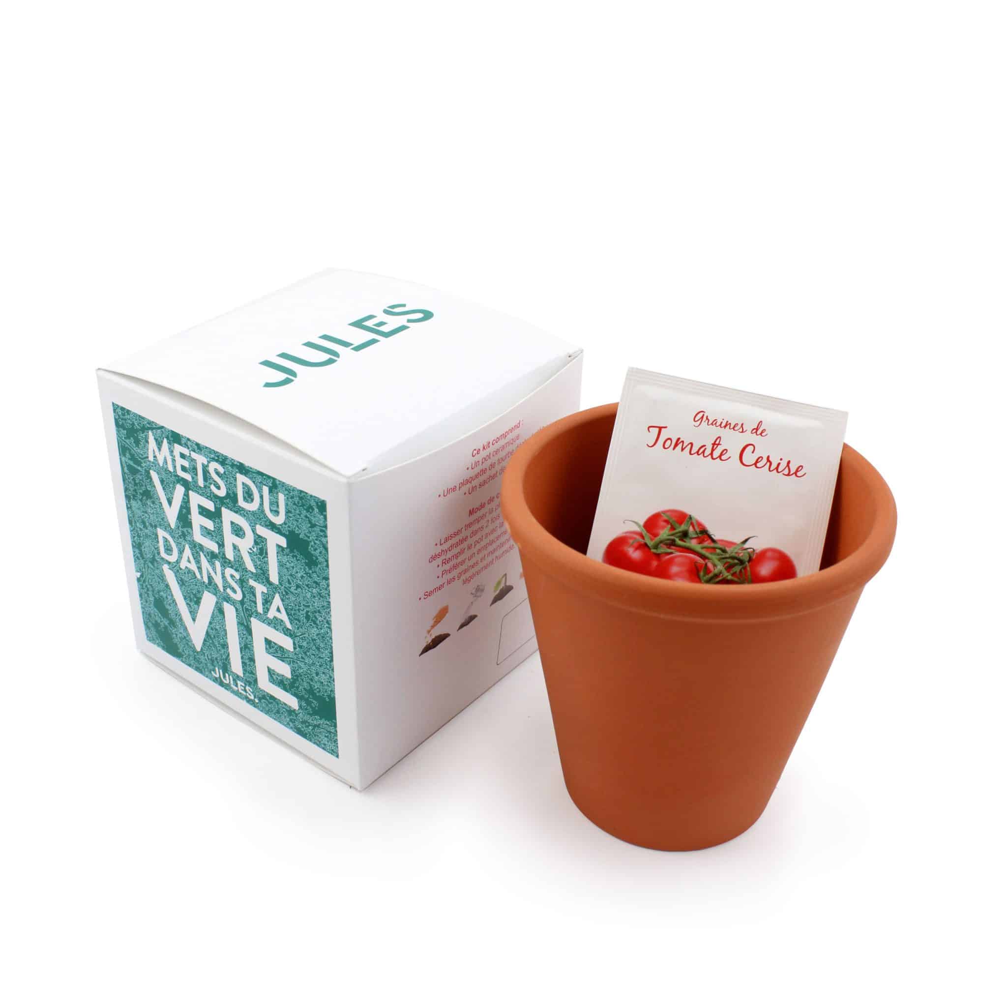 Visuel Le cube de plantation 10x10x10mm