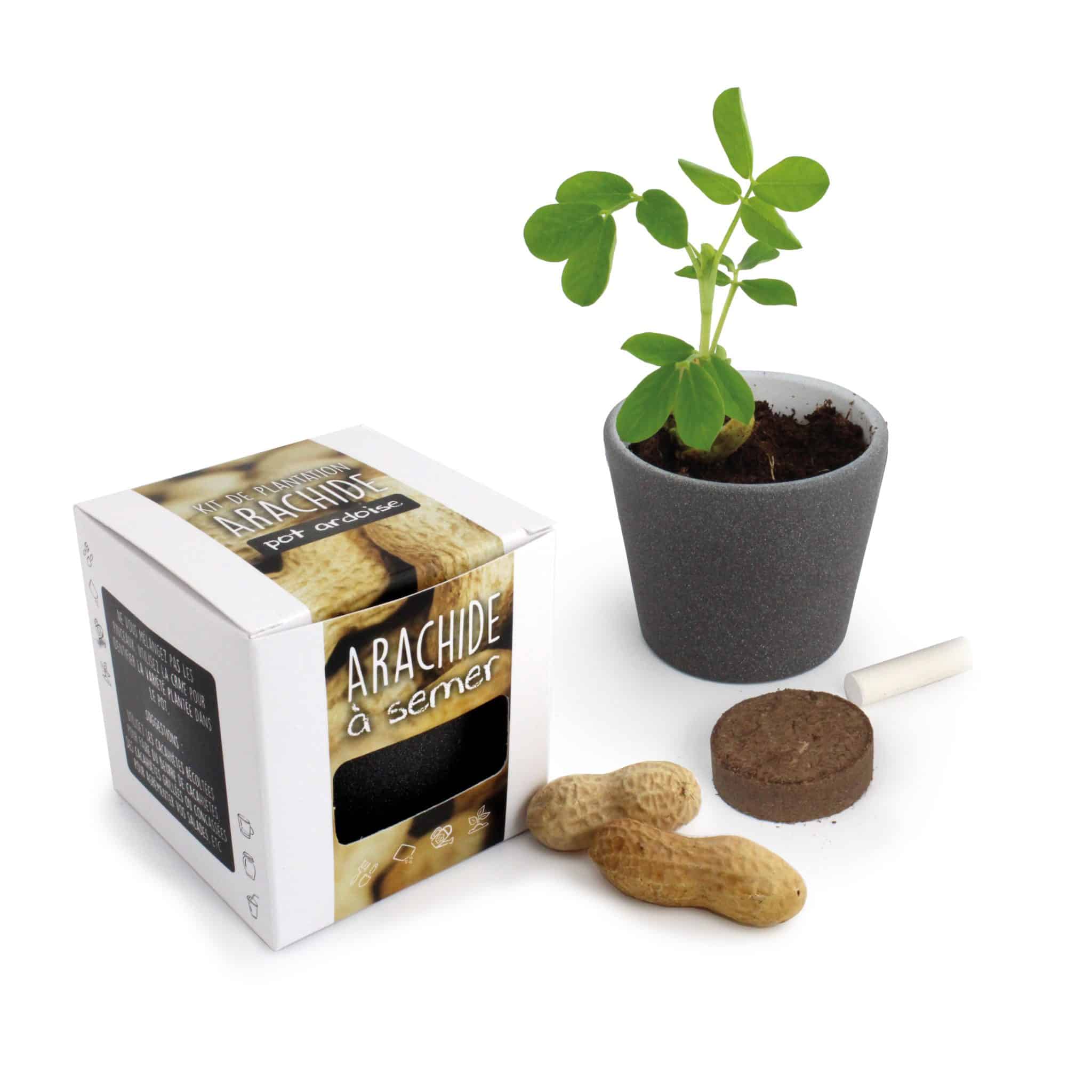 Visuel Pot à Graines Cube ARDOISE