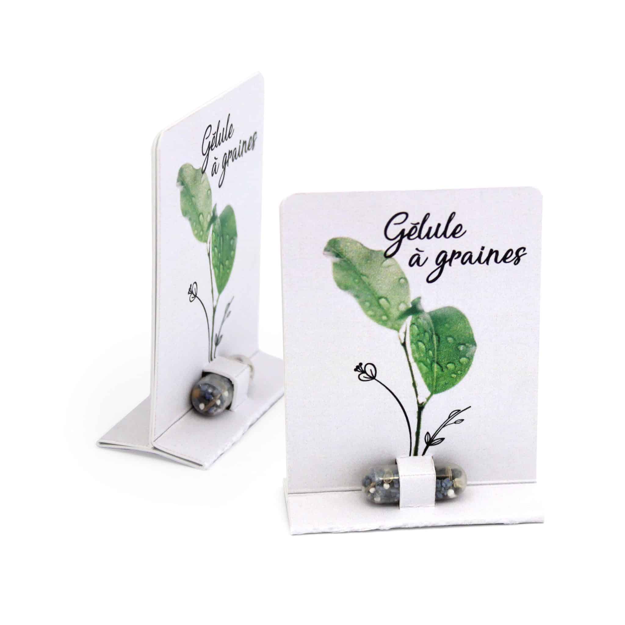 Visuel Gélule de graines