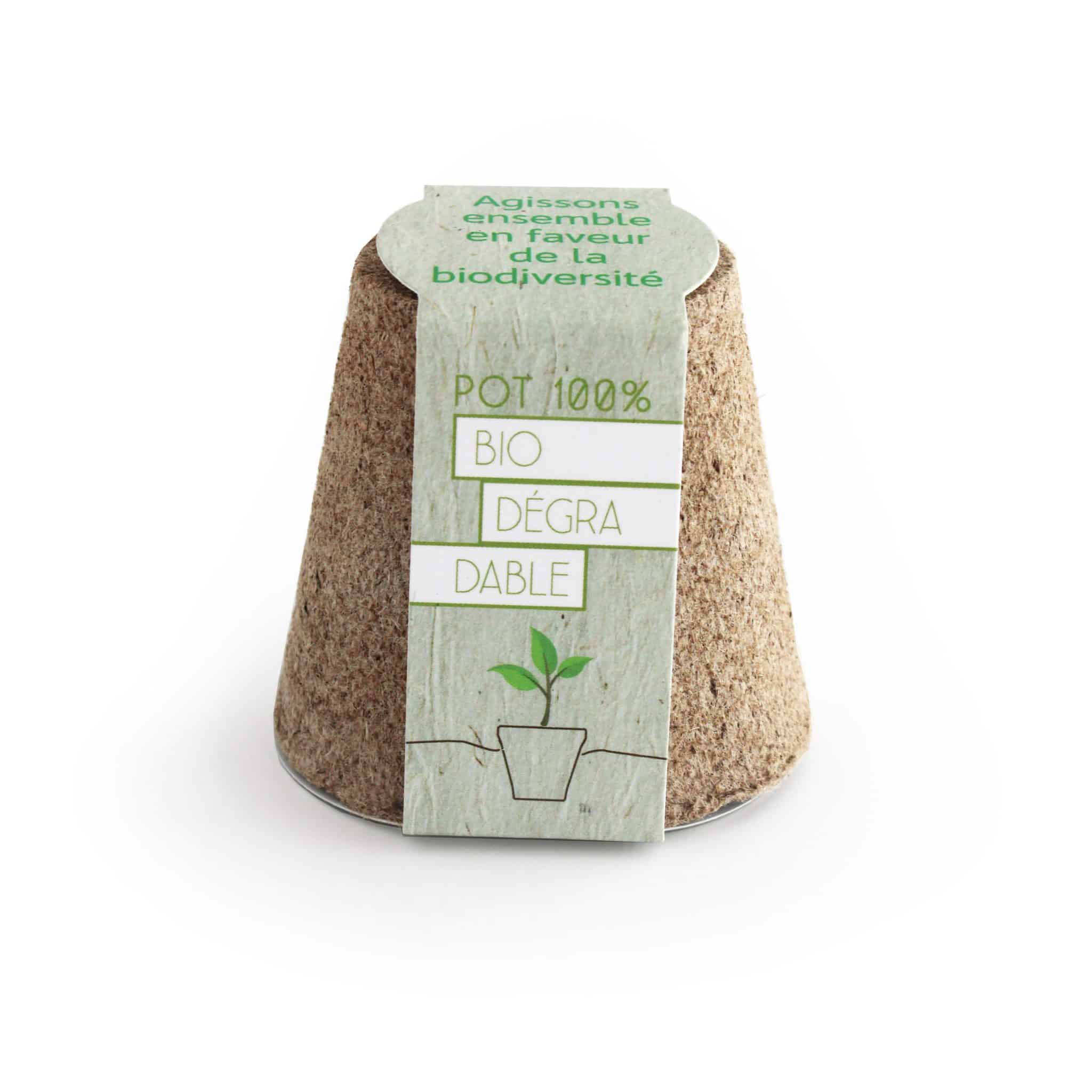 Visuel Kit arbre avec pot tourbe