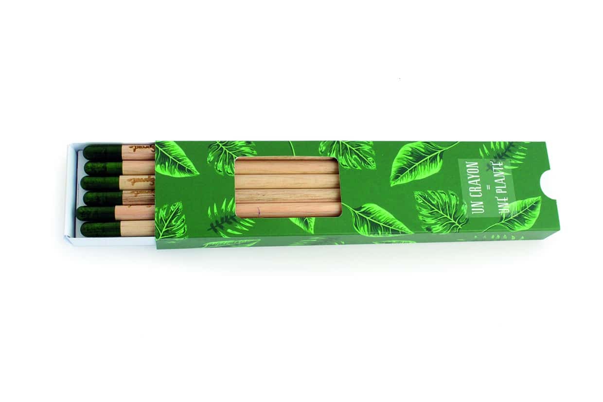 Visuel Coffret 6 crayons à graines couleur