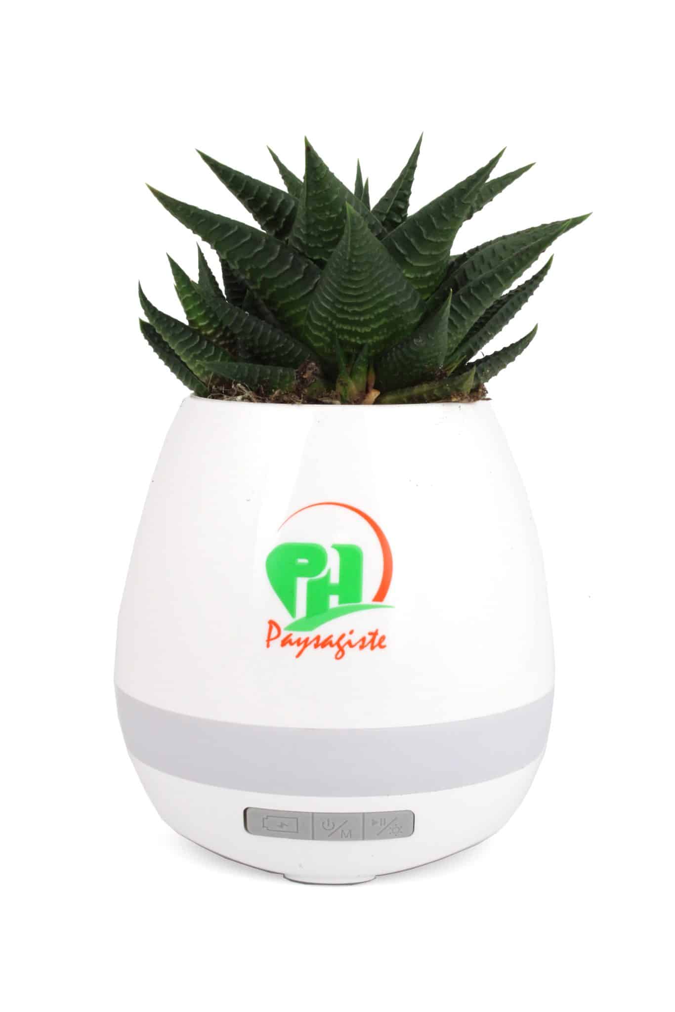 Visuel Pot musical Plantes - Pot de fleur haut-parleur