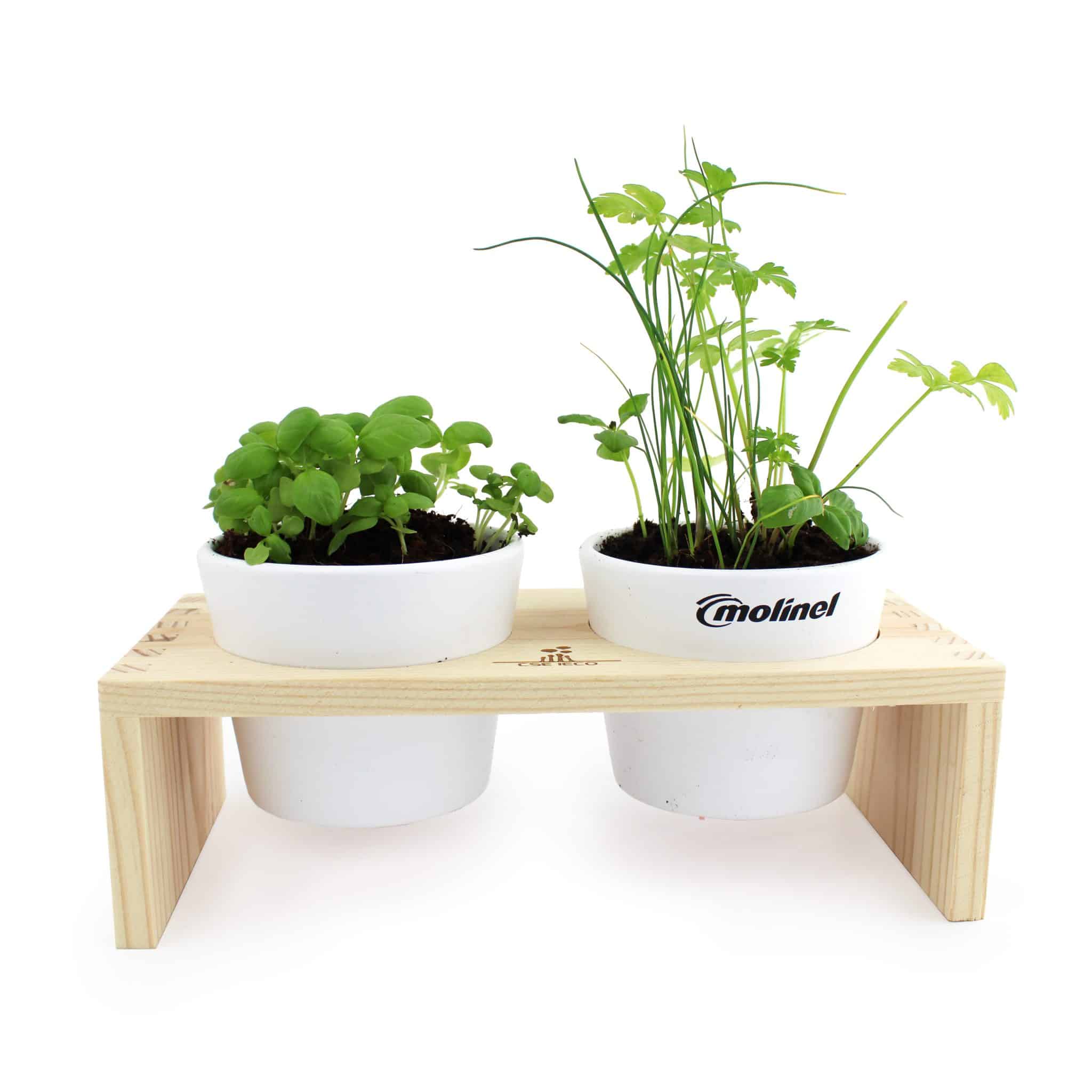 Visuel Double Pot et bois