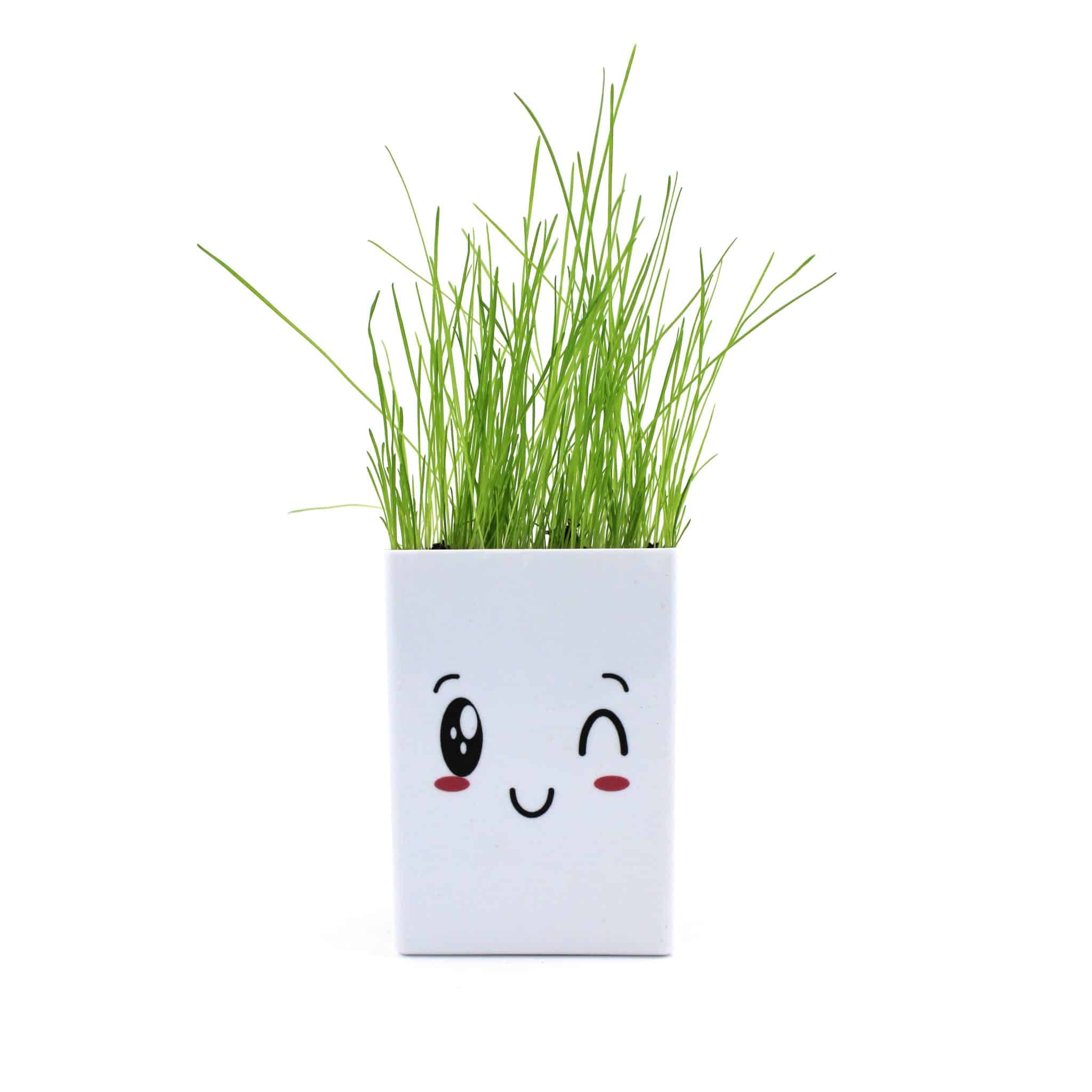 Miniature 2 pour Le Pot ' Ordi