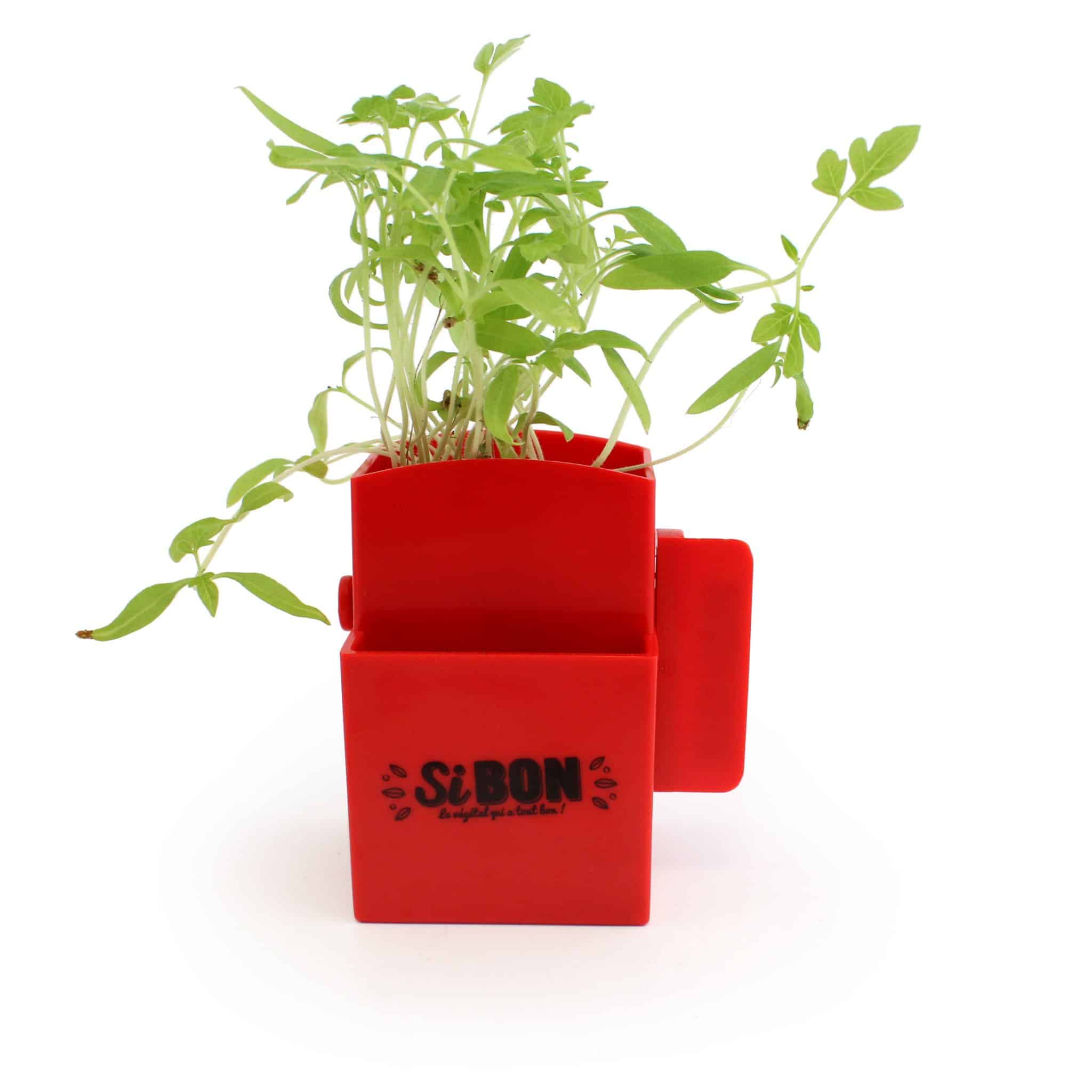 Visuel La Végétal- Box plante