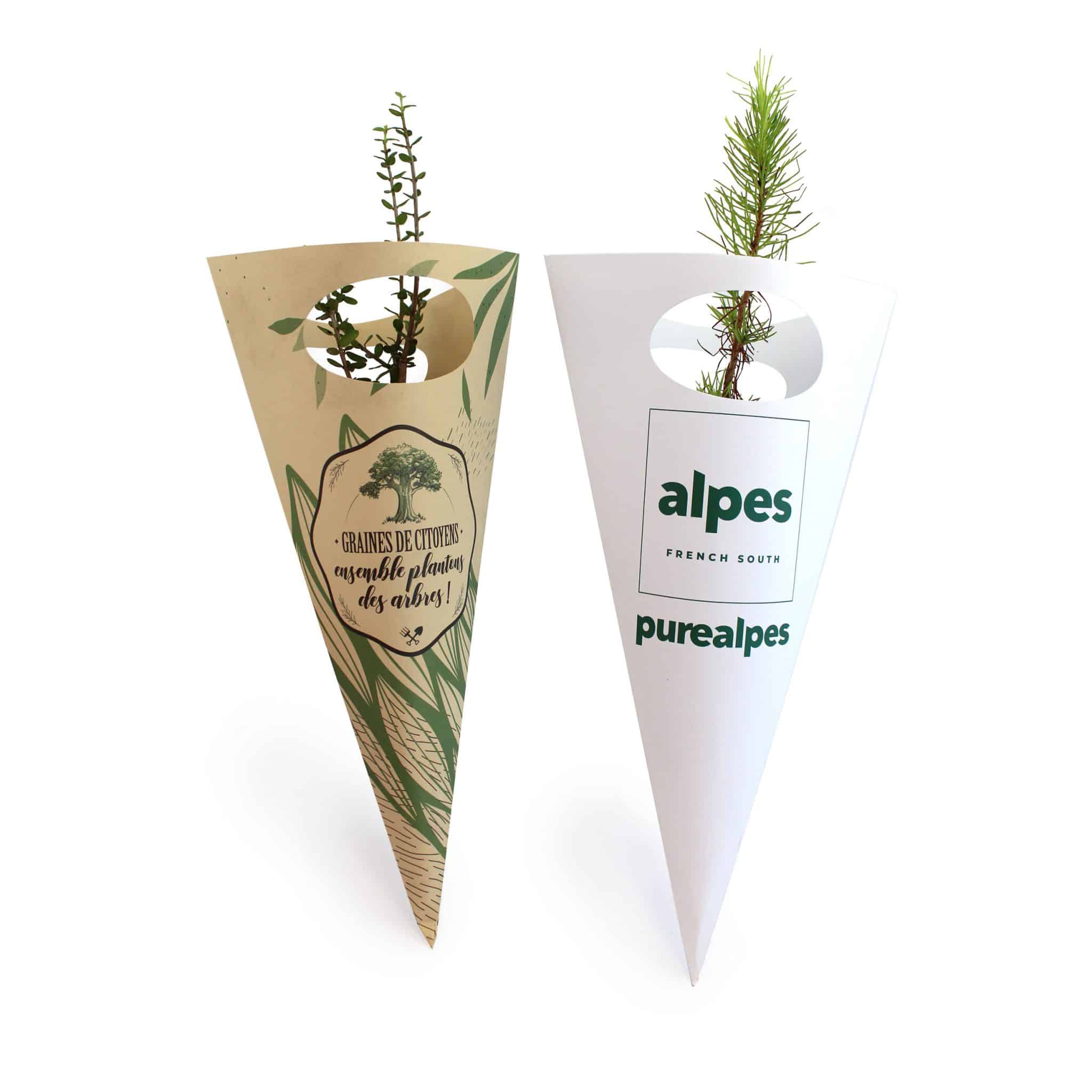 Visuel Plant d'arbre en cornet kraft - Prestige