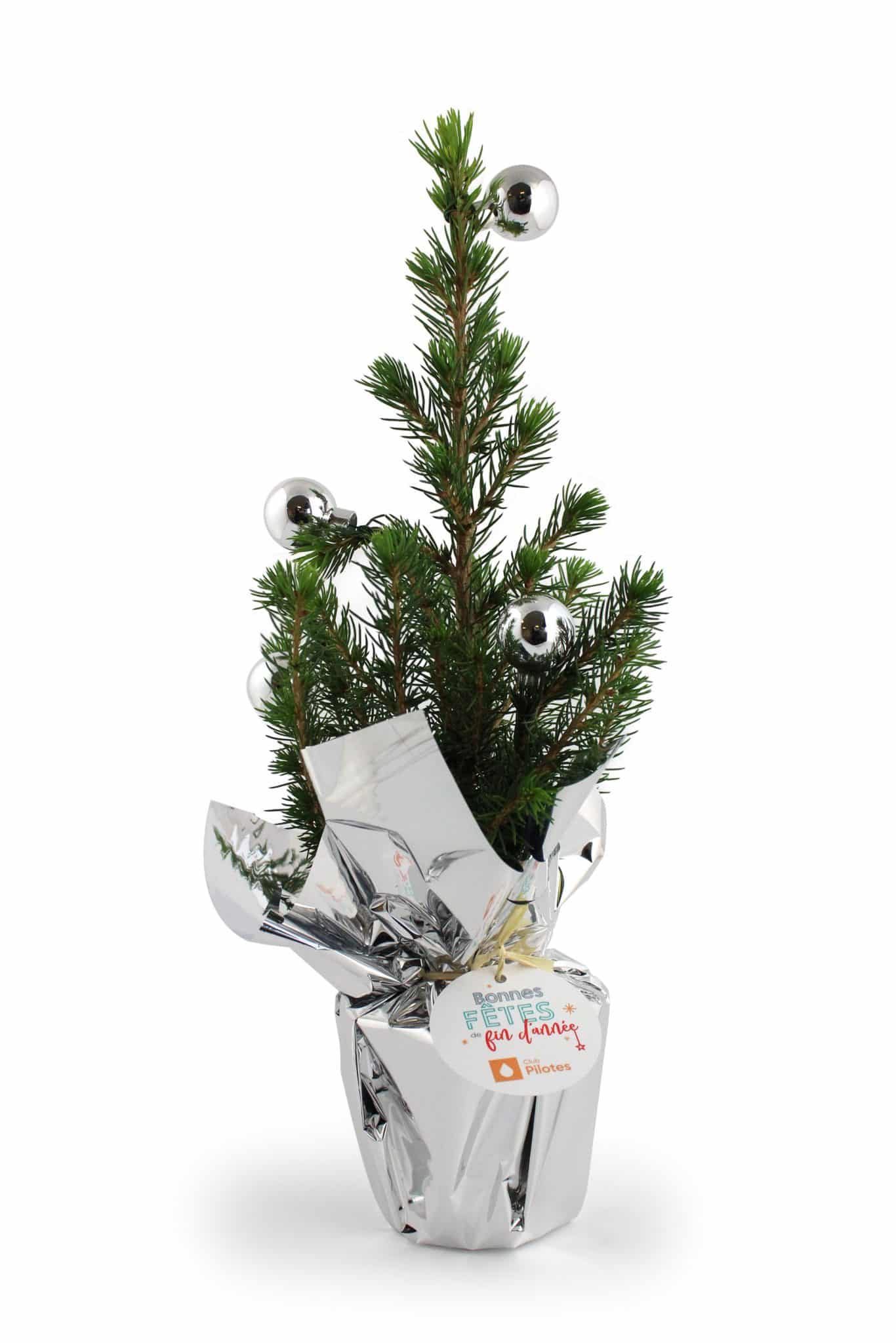 Visuel Sapin de Noël avec déco
