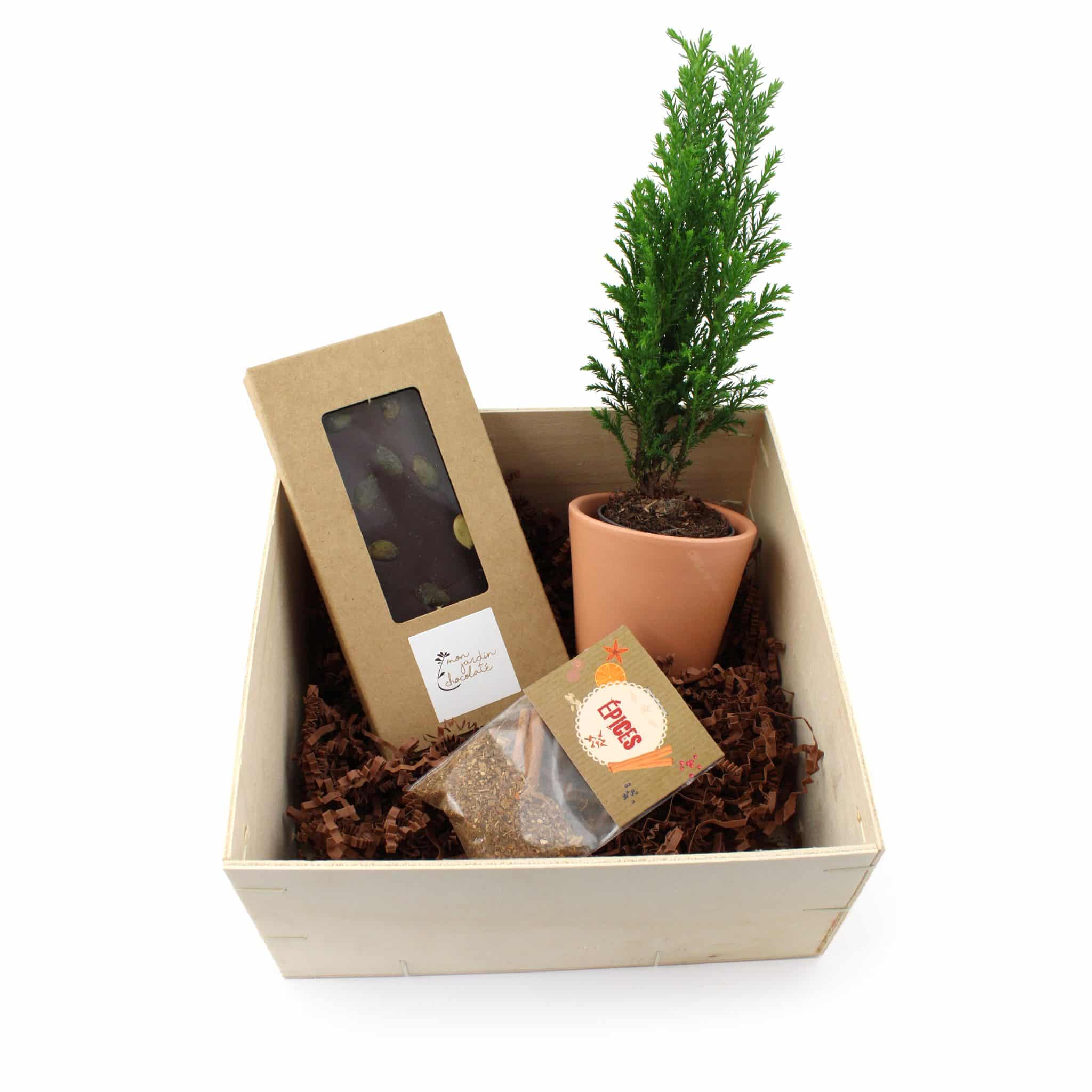 Visuel Le Coffret Caféier