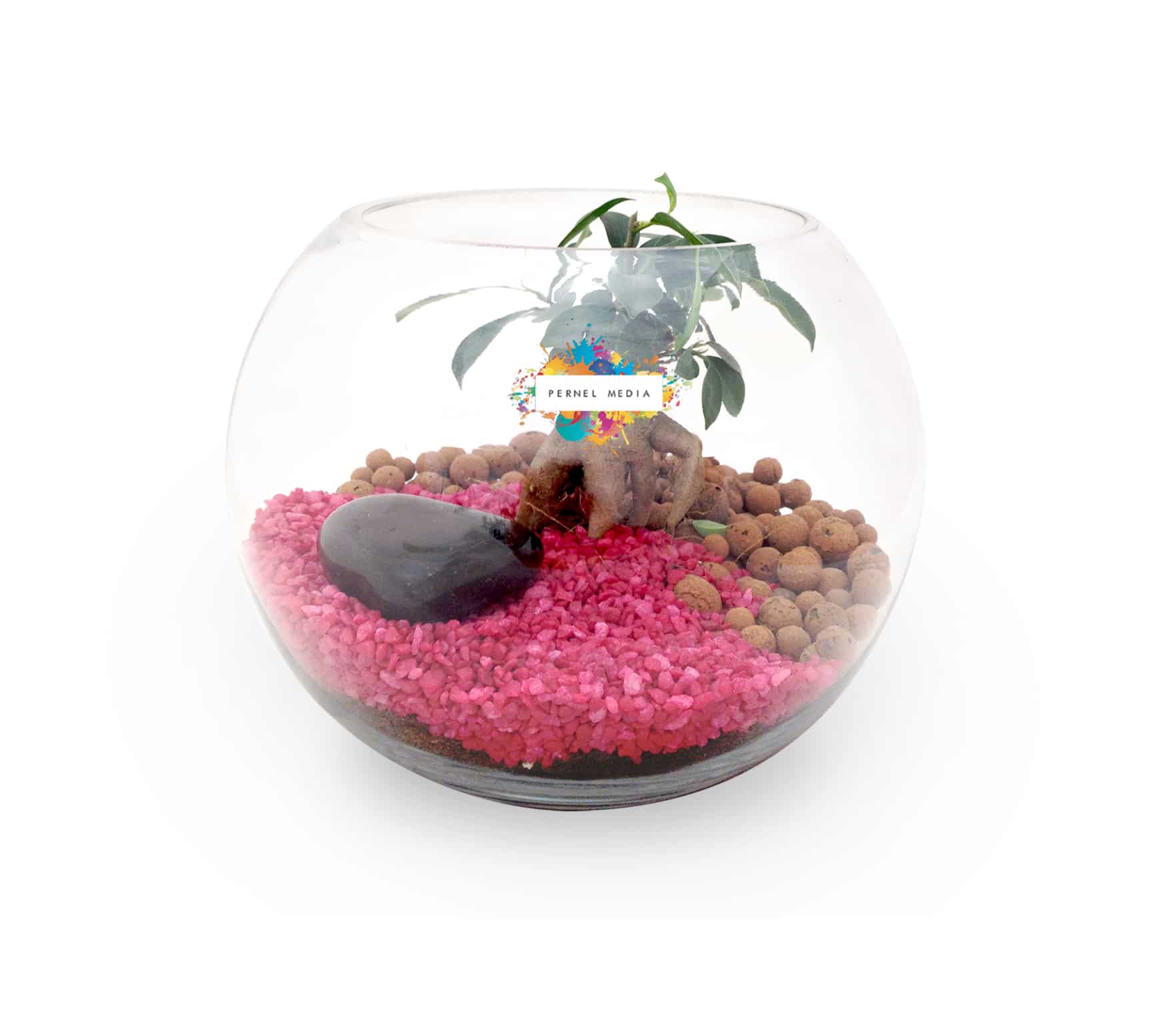 Visuel Terrarium Grand modèle
