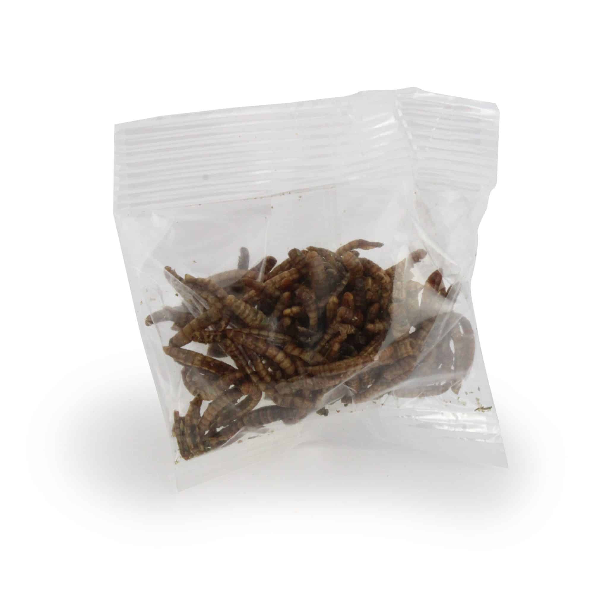 Visuel Insectes apéritifs en sachet