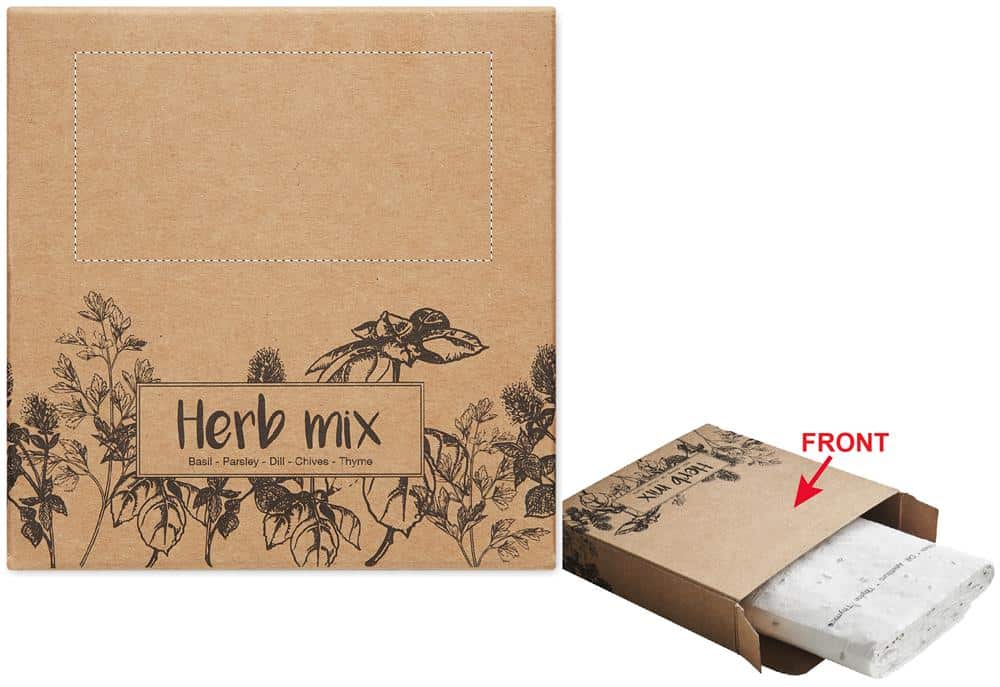 BOX BACK