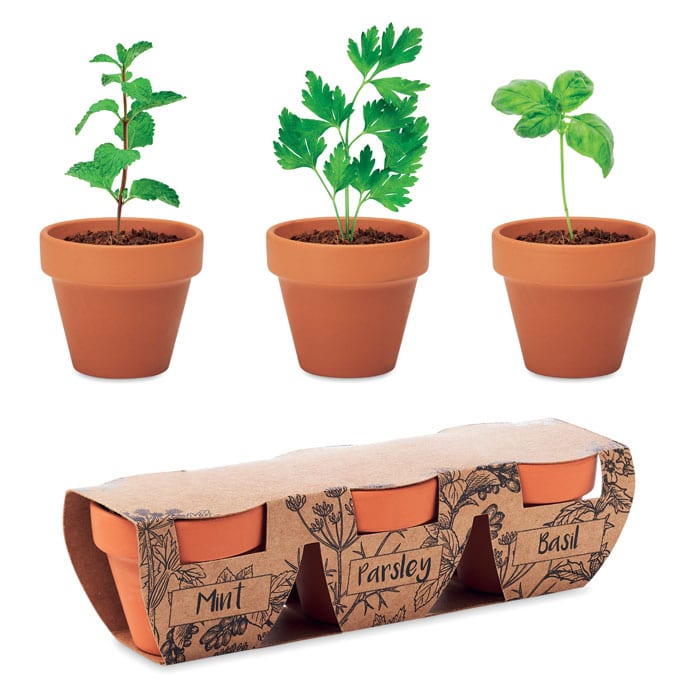 Visuel Flowerpot