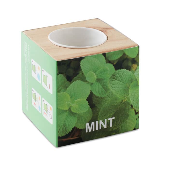 Visuel Menta