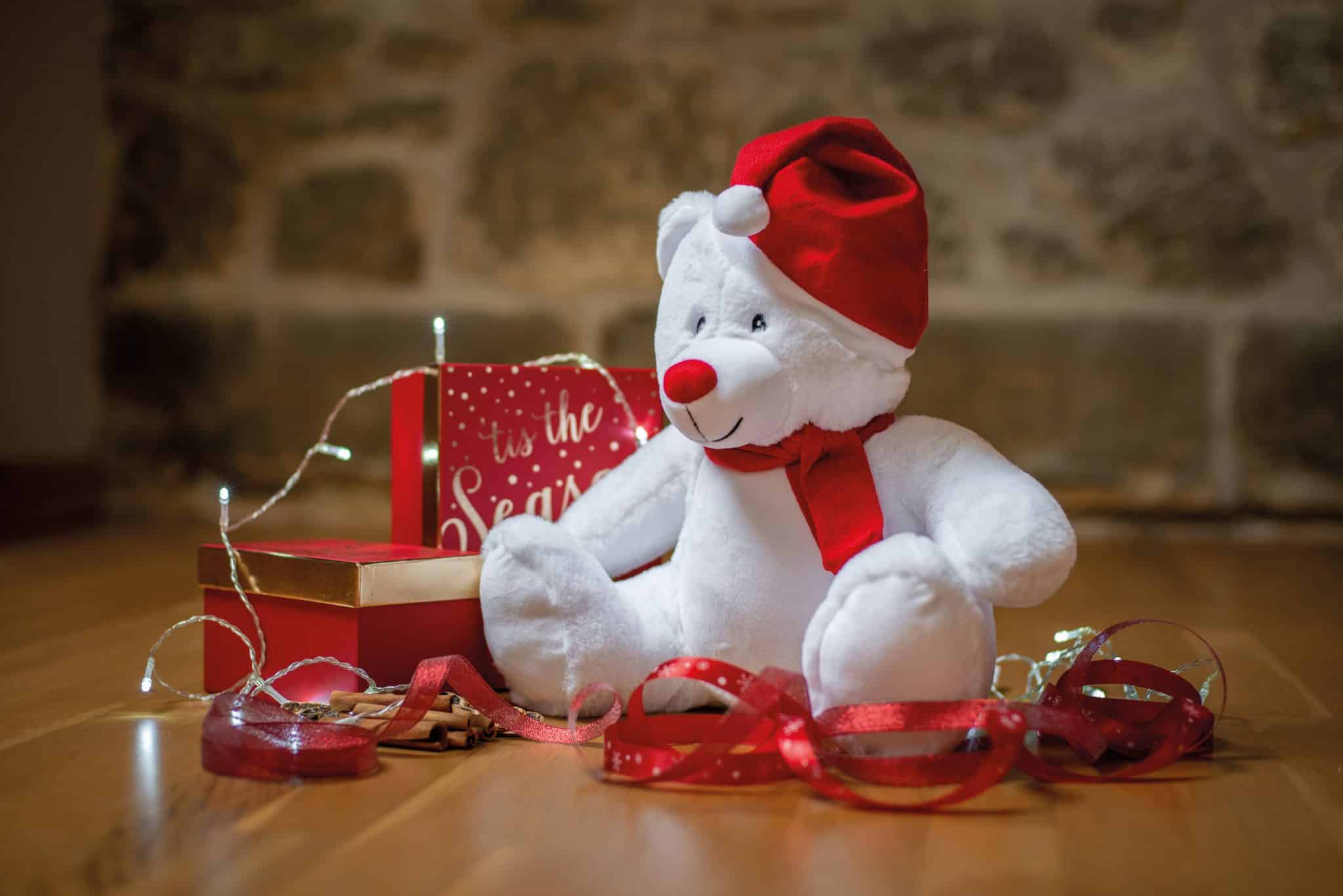 Visuel Peluche zippée ours de Noël
