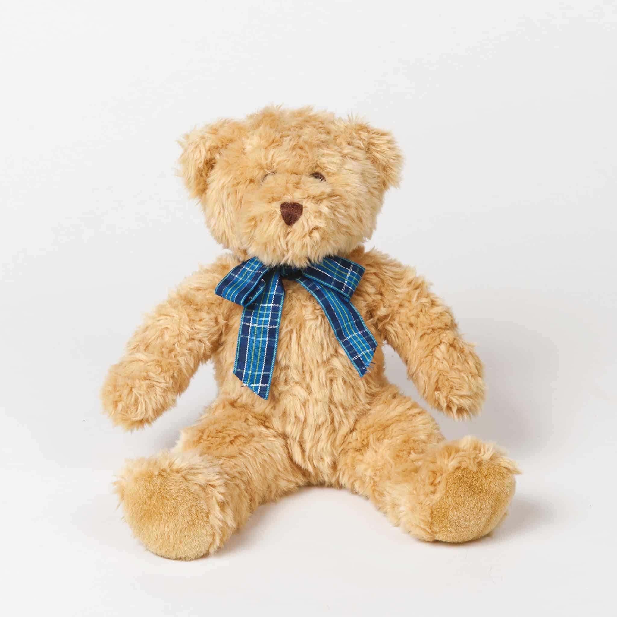 Visuel Peluche ours Bracken