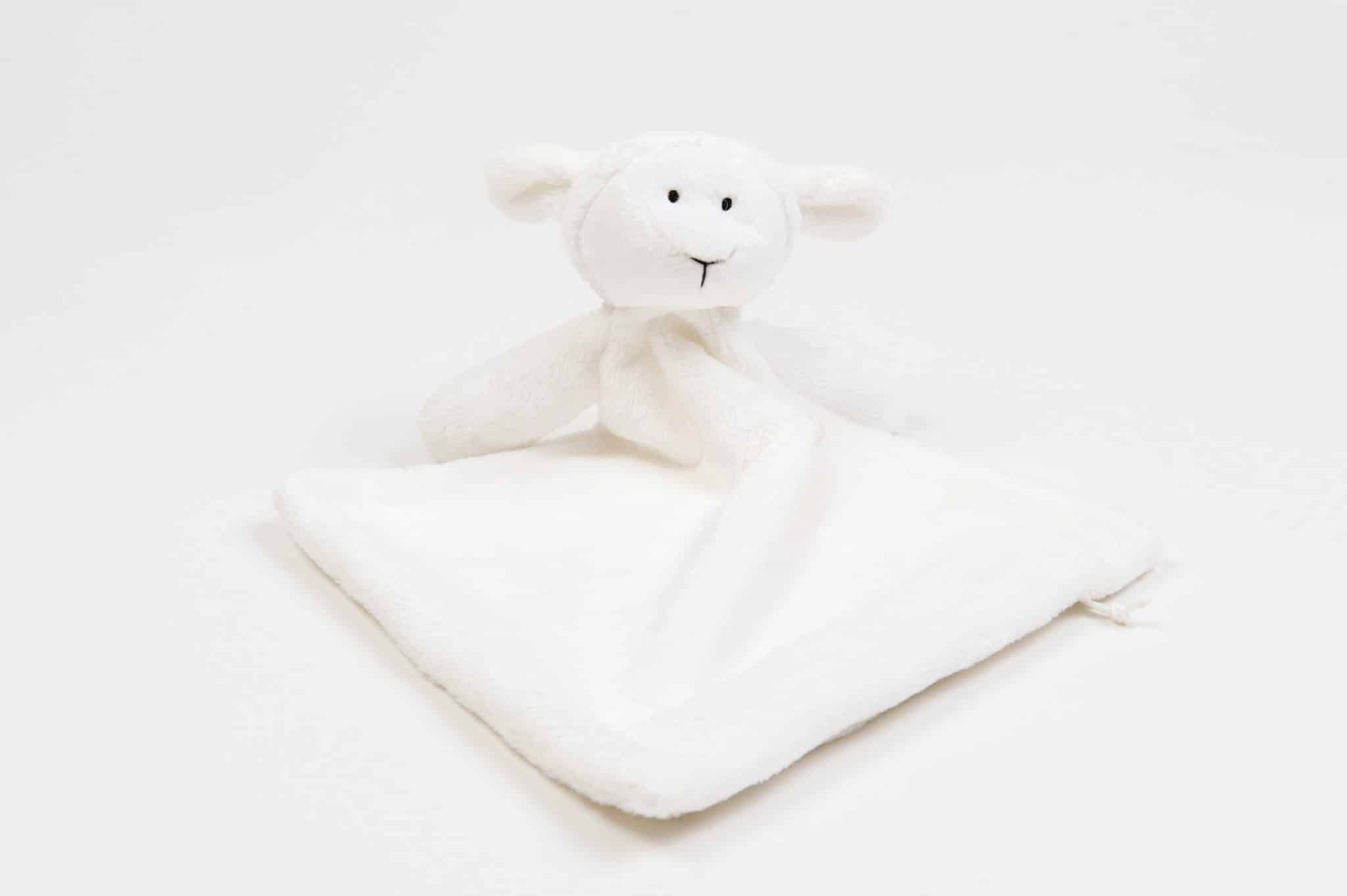 Visuel Doudou plat agneau