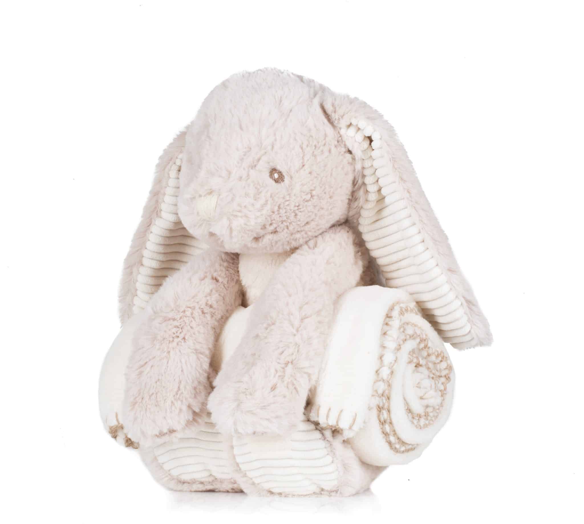 Visuel Peluche Lapin & couverture