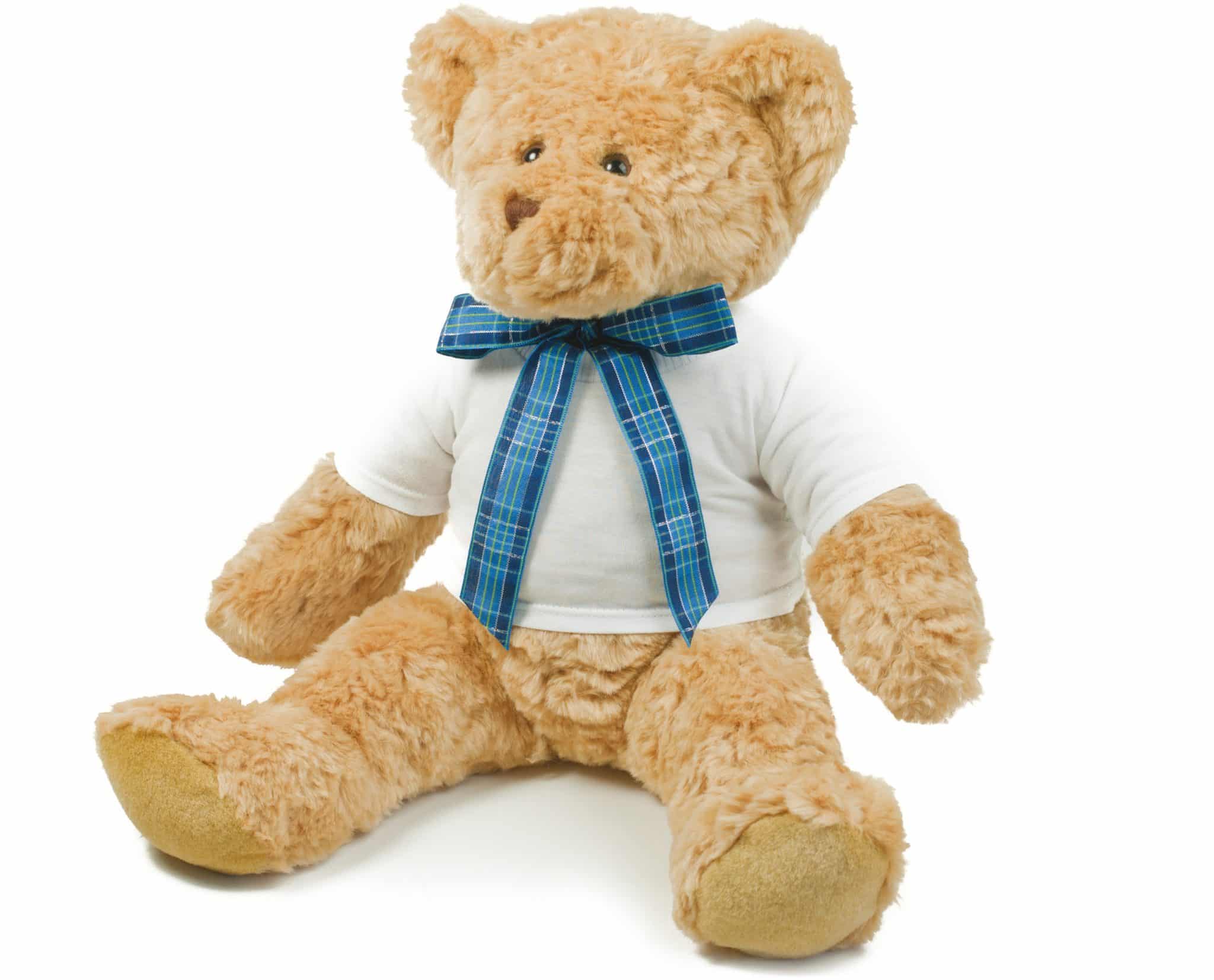 Visuel T-shirt pour peluche