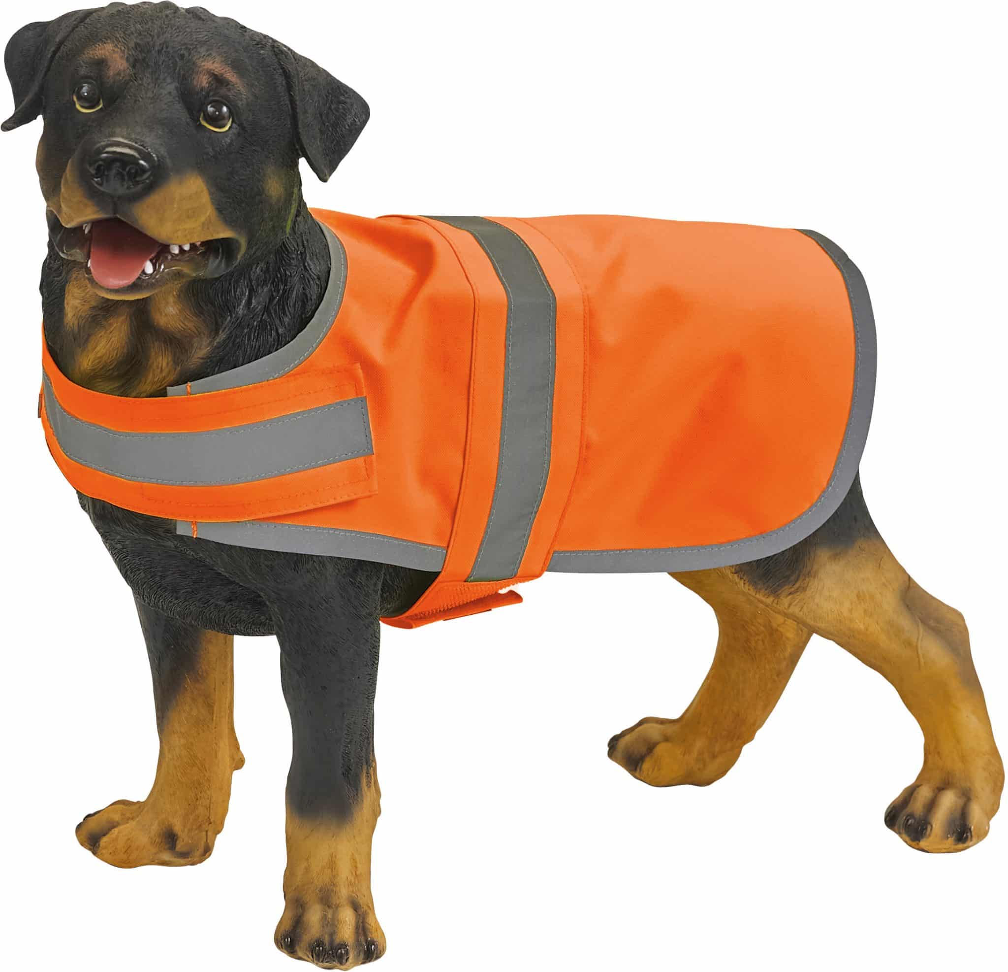 Visuel Gilet réfléchissant pour chien
