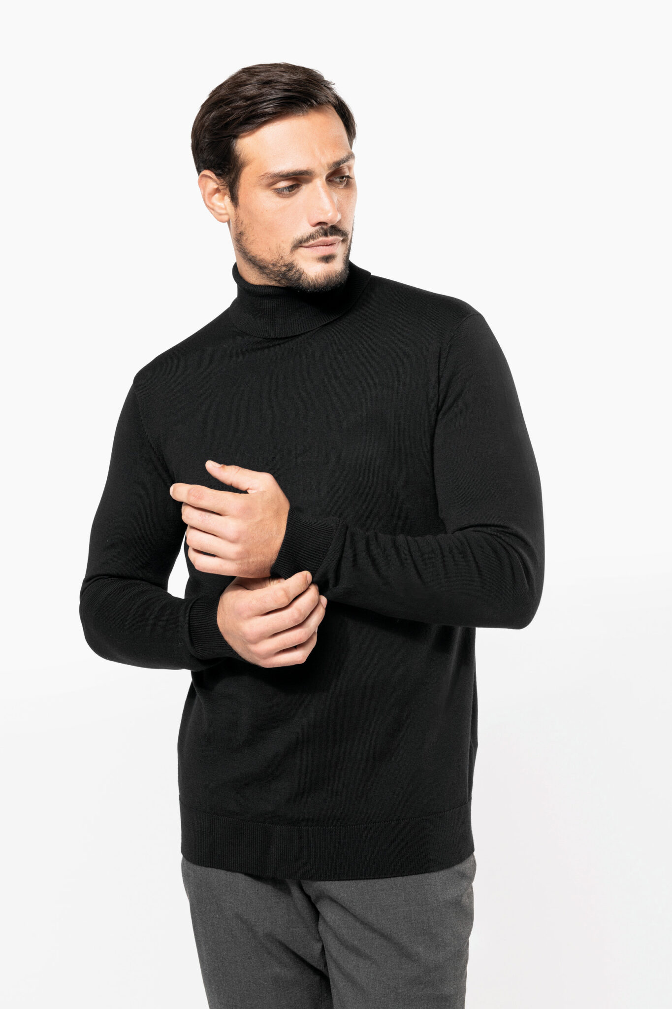 Visuel Pull Mérinos col roulé homme