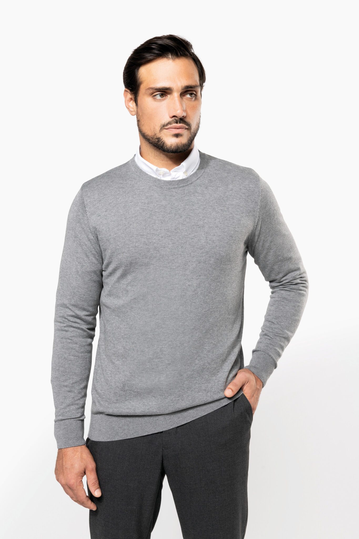 Visuel Pull Supima® col rond homme