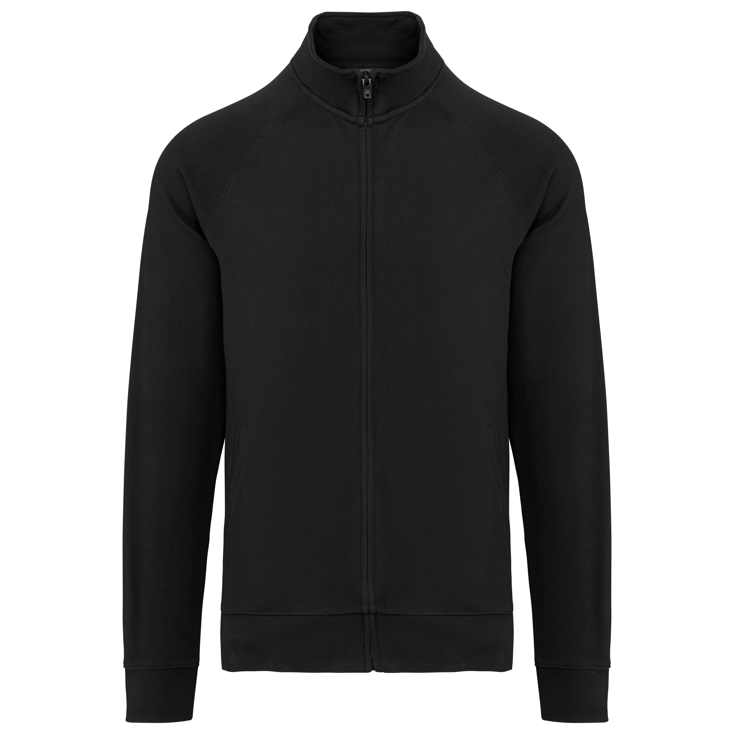 Visuel Veste molleton coton manches raglan unisexe