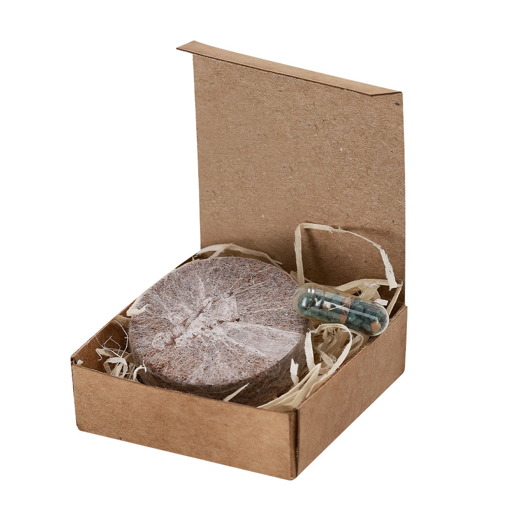 Visuel Pack Plantable Bicidofe - personnalisable