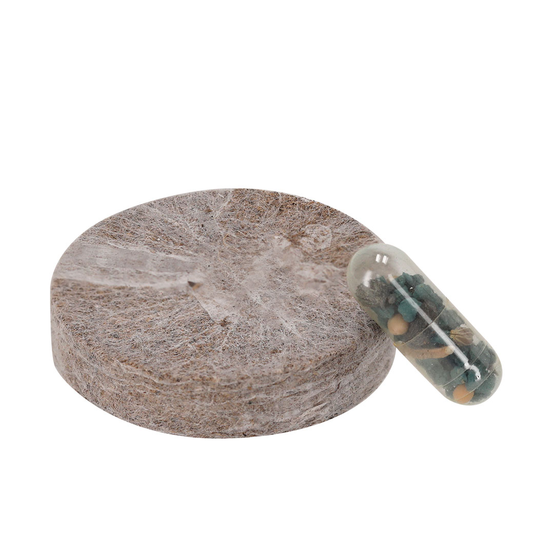 Miniature 2 pour Pack Plantable Bicidofe - personnalisable