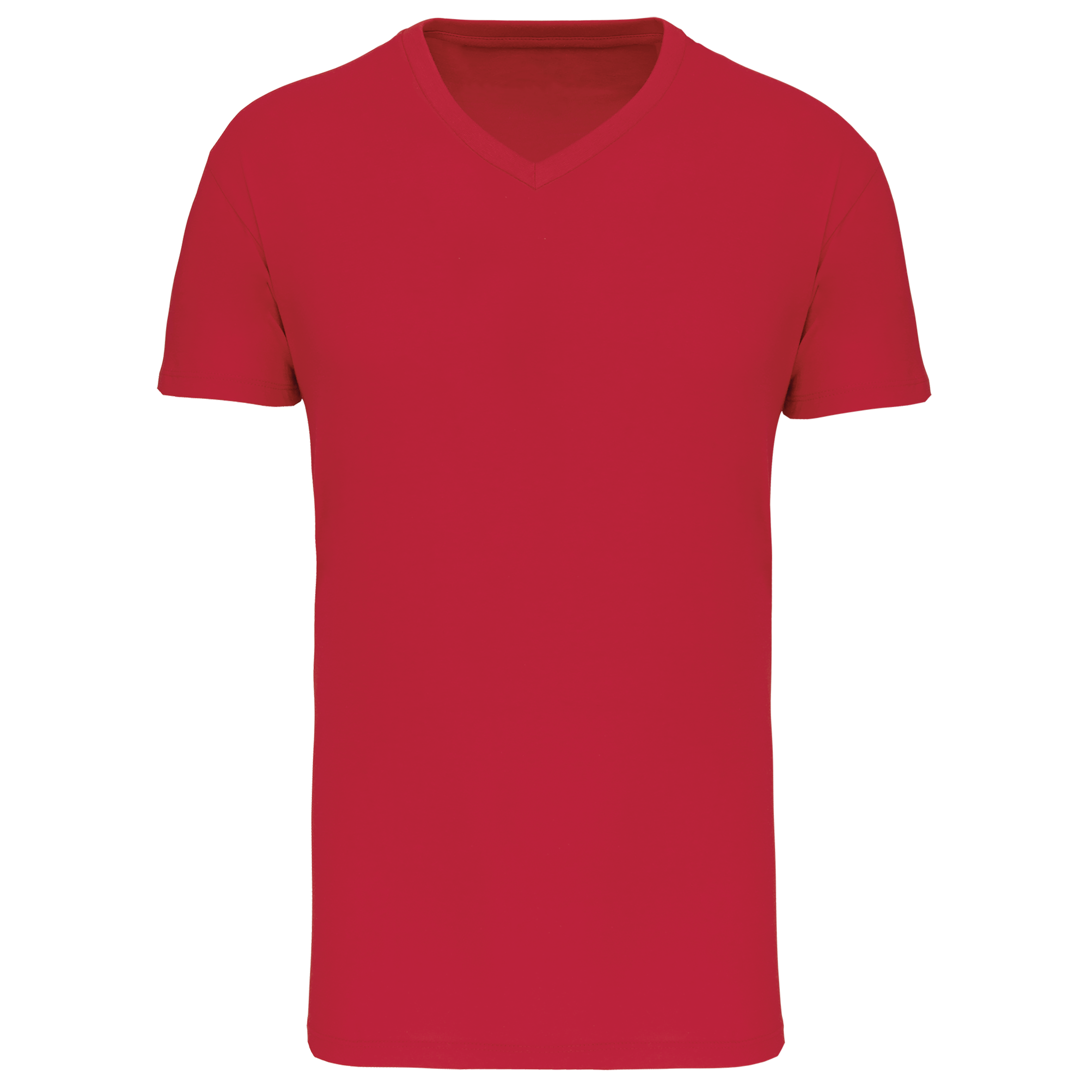 Miniature 17 pour T-shirt Bio150 IC col V homme
