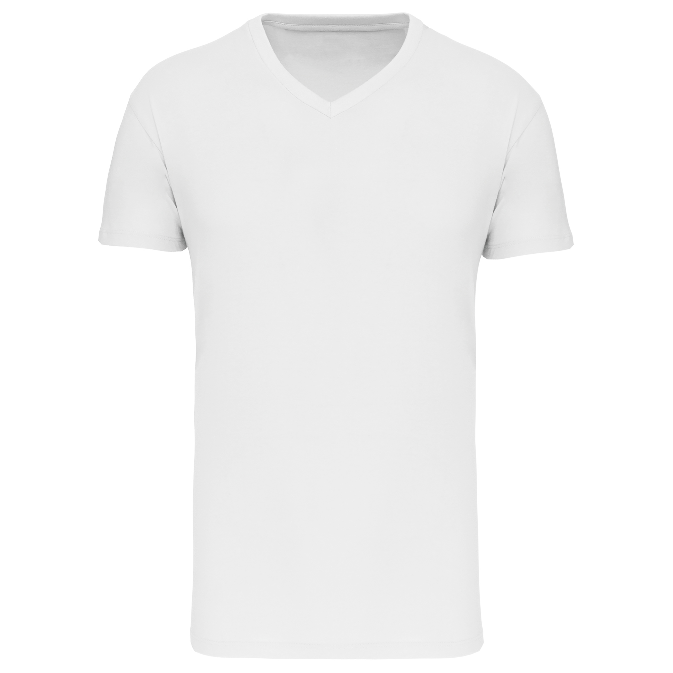 Miniature 19 pour T-shirt Bio150 IC col V homme