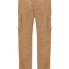 camel