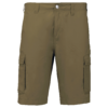 light-khaki