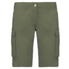 light-khaki