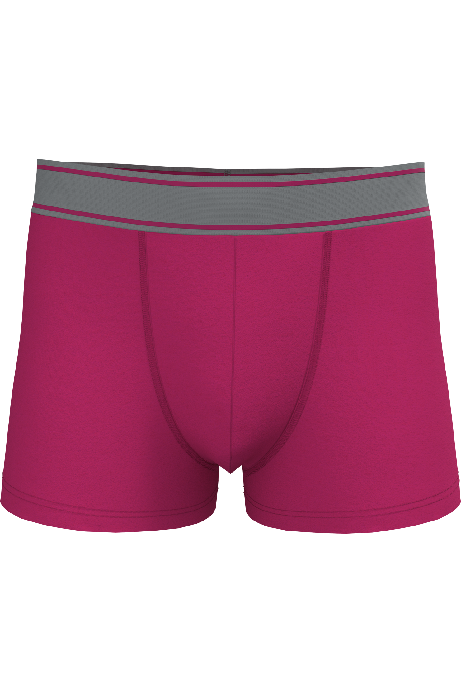 Miniature 6 pour Boxer