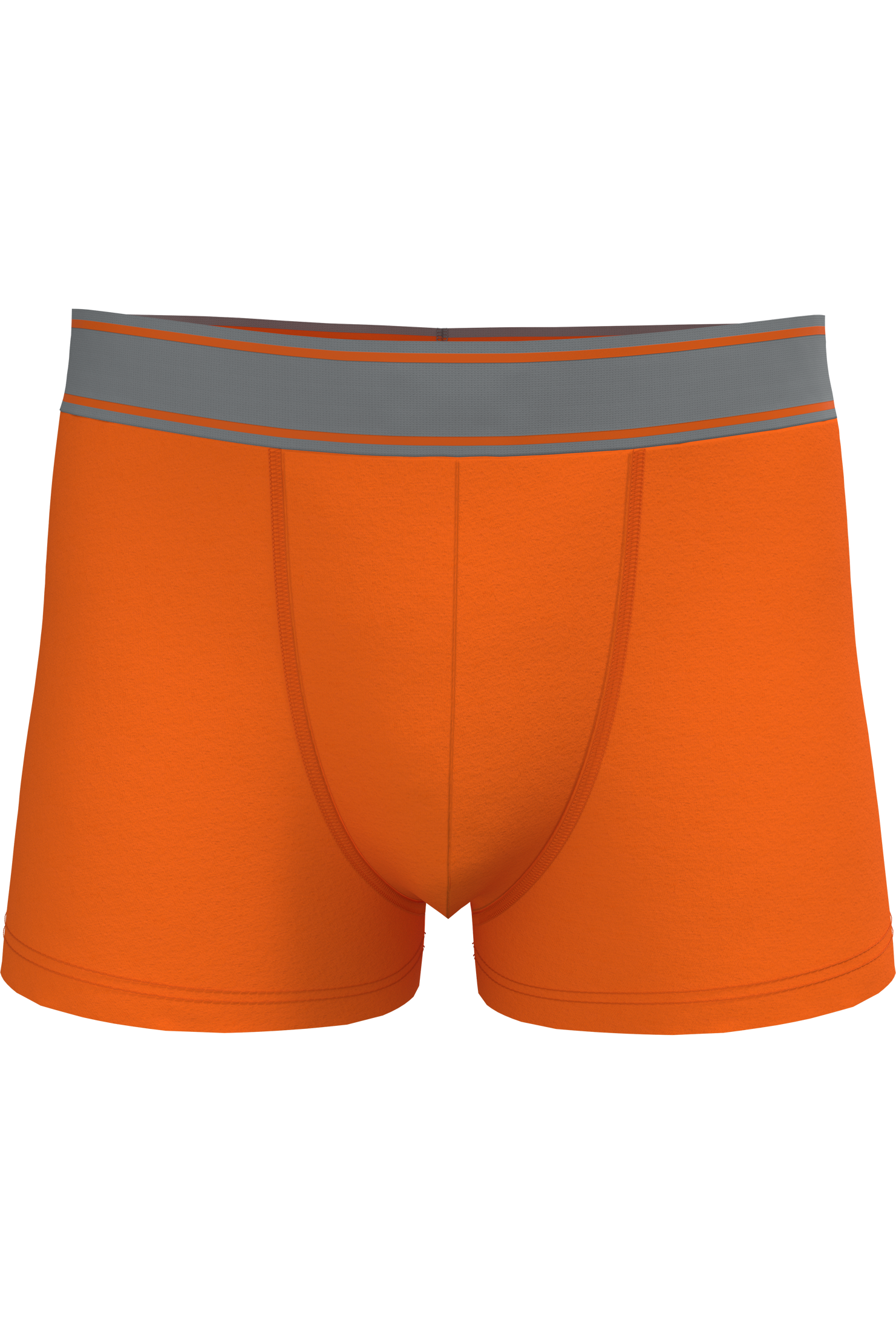Miniature 9 pour Boxer