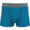 tropical-blue