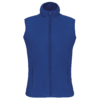 royal-blue