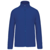 royal-blue