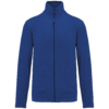 royal-blue