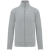 snow-grey