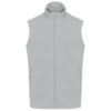 snow-grey
