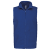 royal-blue