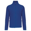 royal-blue